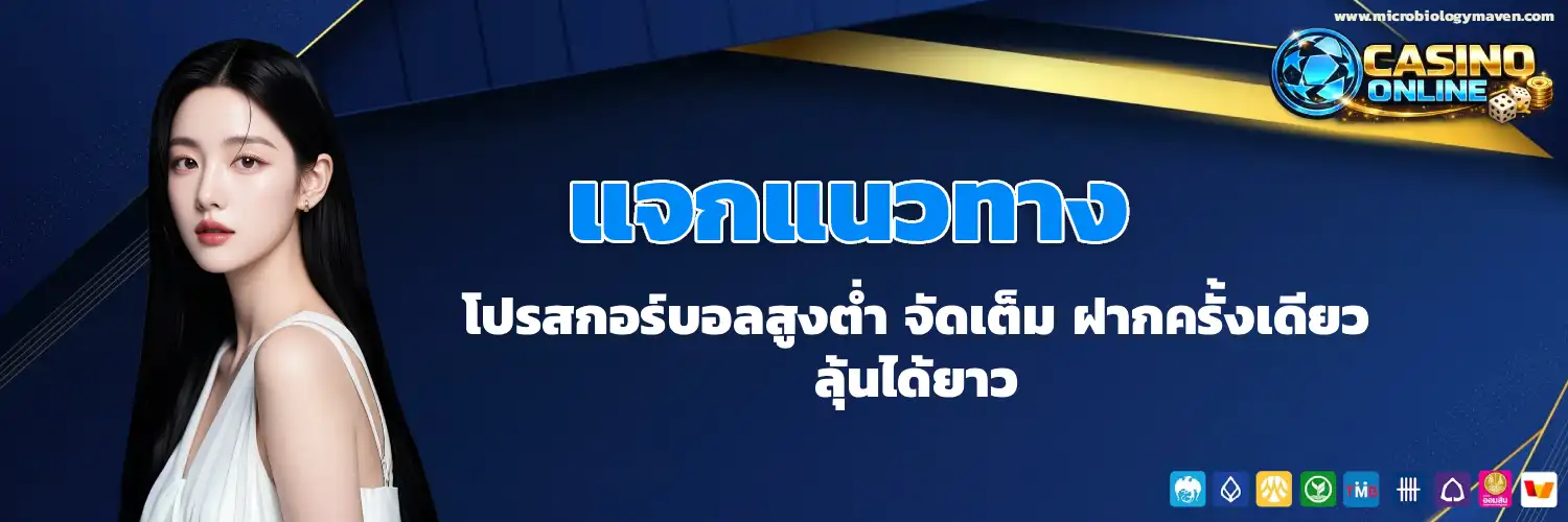 ทีเด็ดบอลสกอร์สูงต่ํา